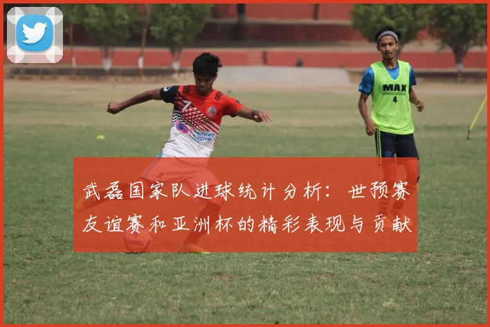 武磊国家队进球统计分析：世预赛友谊赛和亚洲杯的精彩表现与贡献
