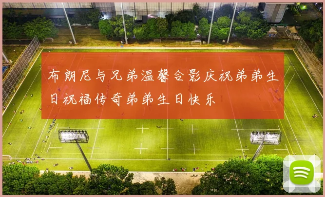 布朗尼与兄弟温馨合影庆祝弟弟生日祝福传奇弟弟生日快乐